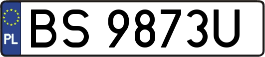 BS9873U