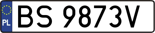 BS9873V