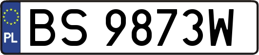 BS9873W