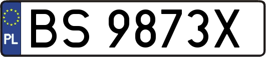 BS9873X