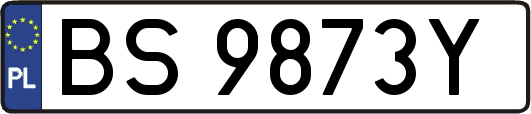BS9873Y