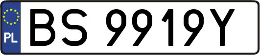 BS9919Y