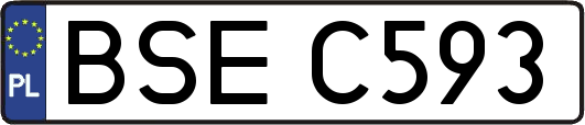 BSEC593