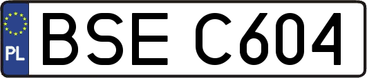 BSEC604