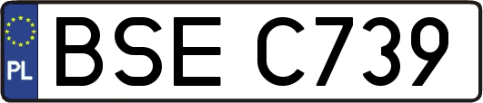 BSEC739