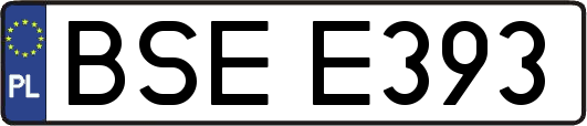 BSEE393