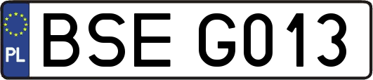 BSEG013