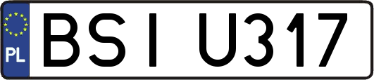 BSIU317