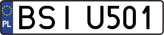 BSIU501