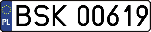 BSK00619