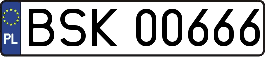 BSK00666