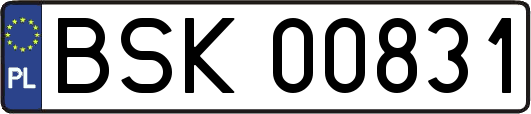 BSK00831