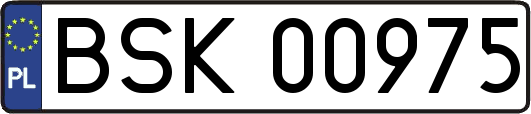 BSK00975