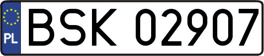 BSK02907