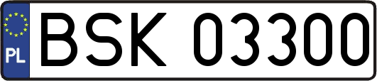 BSK03300