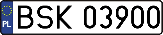 BSK03900