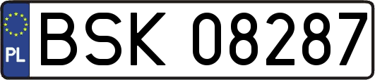 BSK08287