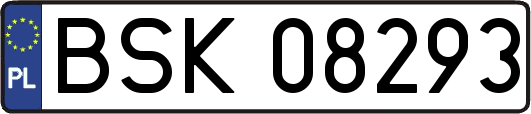 BSK08293