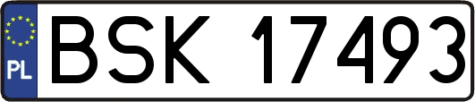 BSK17493