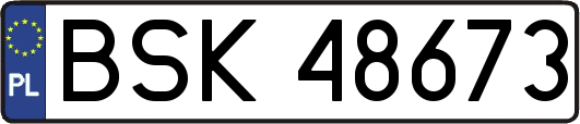 BSK48673