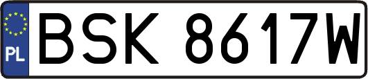 BSK8617W