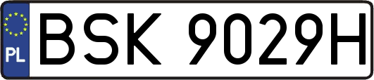 BSK9029H