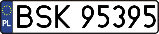 BSK95395