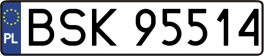 BSK95514