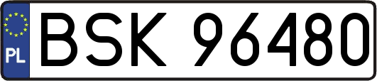 BSK96480