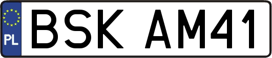 BSKAM41