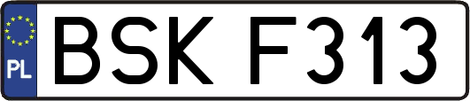 BSKF313