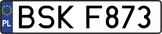 BSKF873