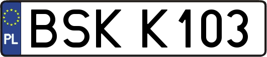 BSKK103