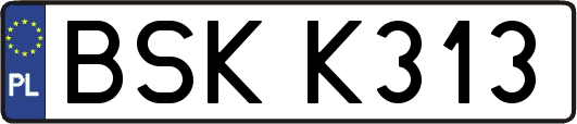 BSKK313