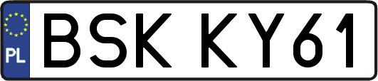 BSKKY61