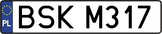 BSKM317