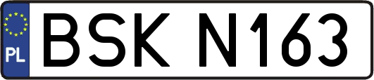 BSKN163
