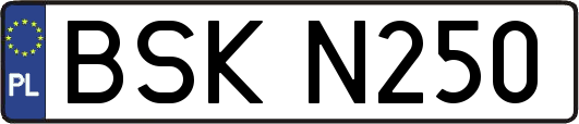 BSKN250