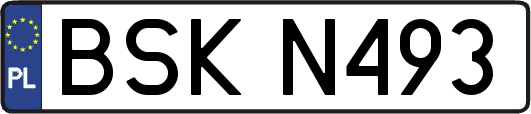 BSKN493