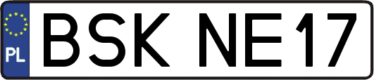 BSKNE17