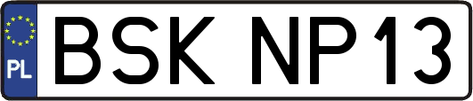 BSKNP13