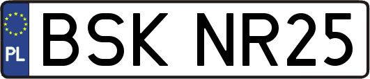 BSKNR25