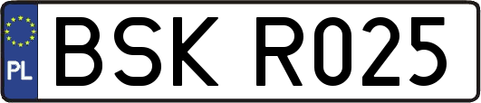 BSKR025