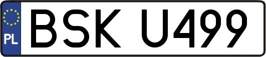 BSKU499