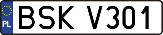 BSKV301