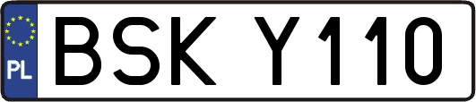 BSKY110