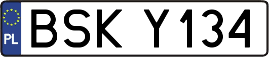 BSKY134