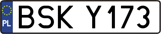 BSKY173