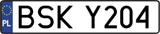 BSKY204