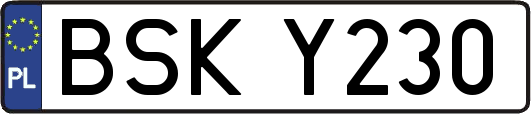 BSKY230